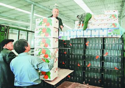 東寧奏響全面振興強音，農(nóng)副產(chǎn)品沿邊開放拓新局