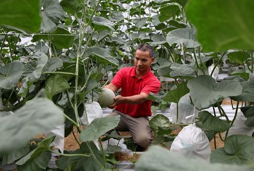 喜看連樟村 今日面貌新 機(jī)械設(shè)備研發(fā)助推鄉(xiāng)村振興